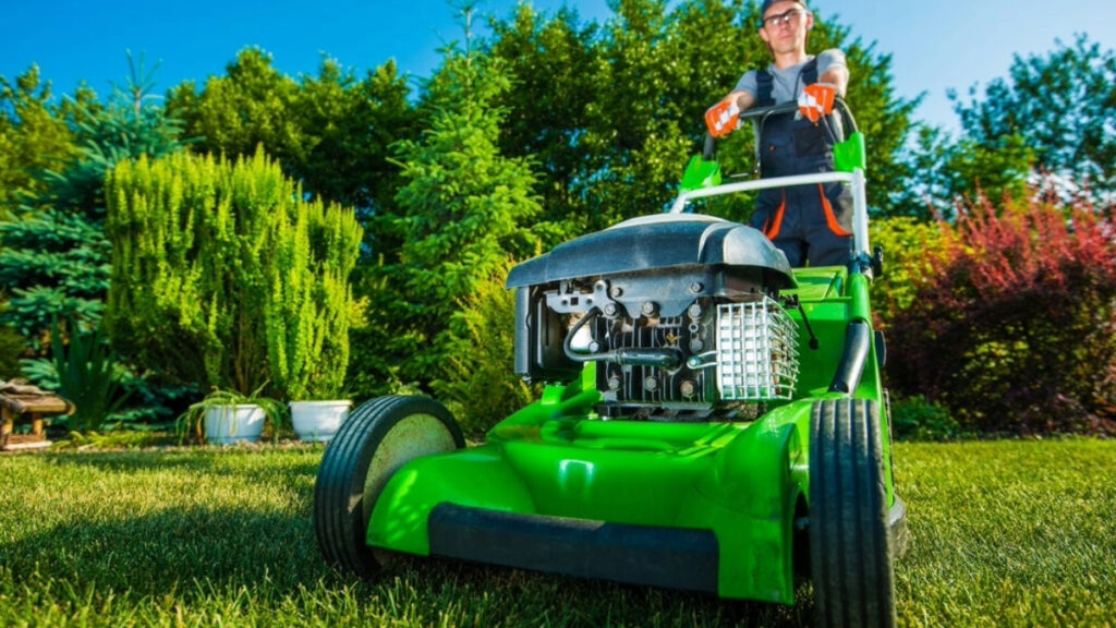 A guide on grass trimmers