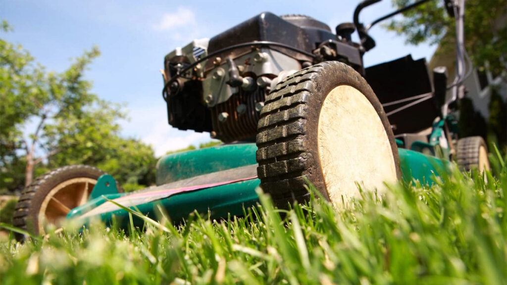 When to mow your lawn?