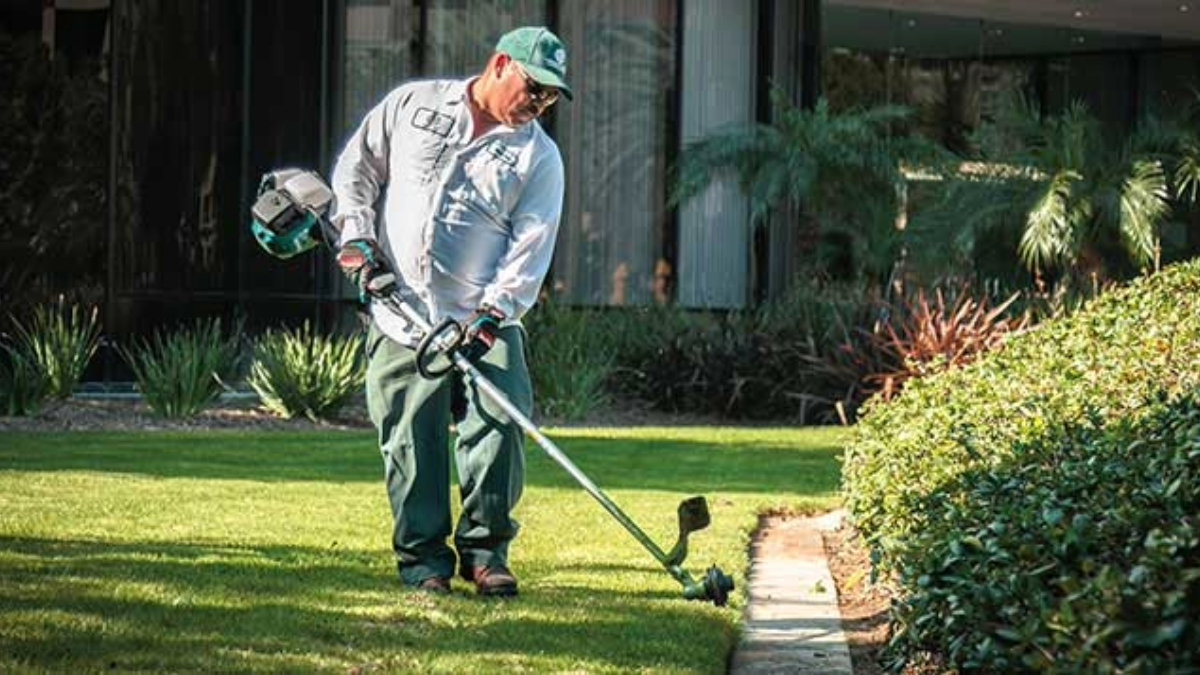 What is a good grass trimmer? What's the Best Choice for You? » OmniImpex