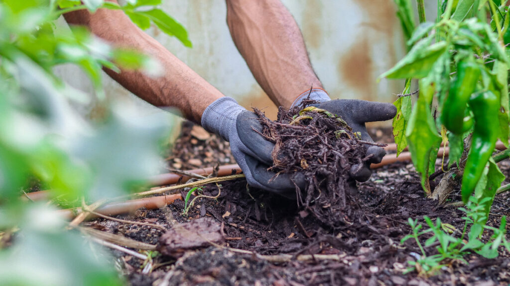 Some Weeding mistakes that make Gardening a real tough job- Blog - Omni Impex