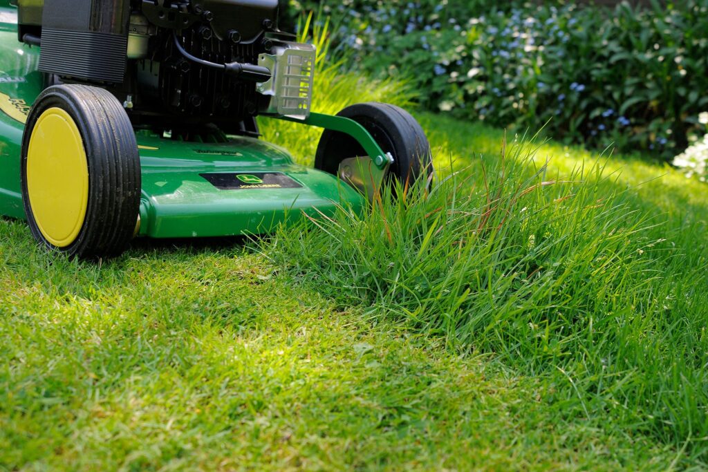 When to mow your lawn?