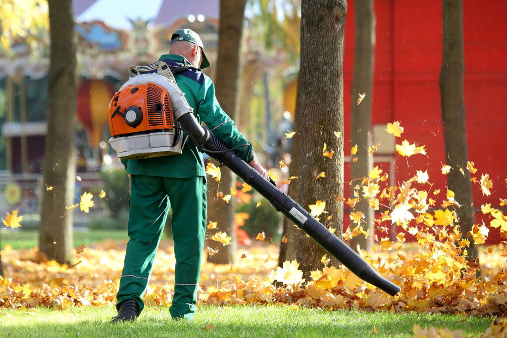 Leaf Blower