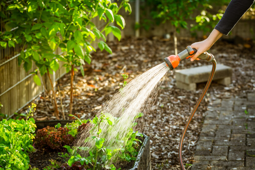 Gardening