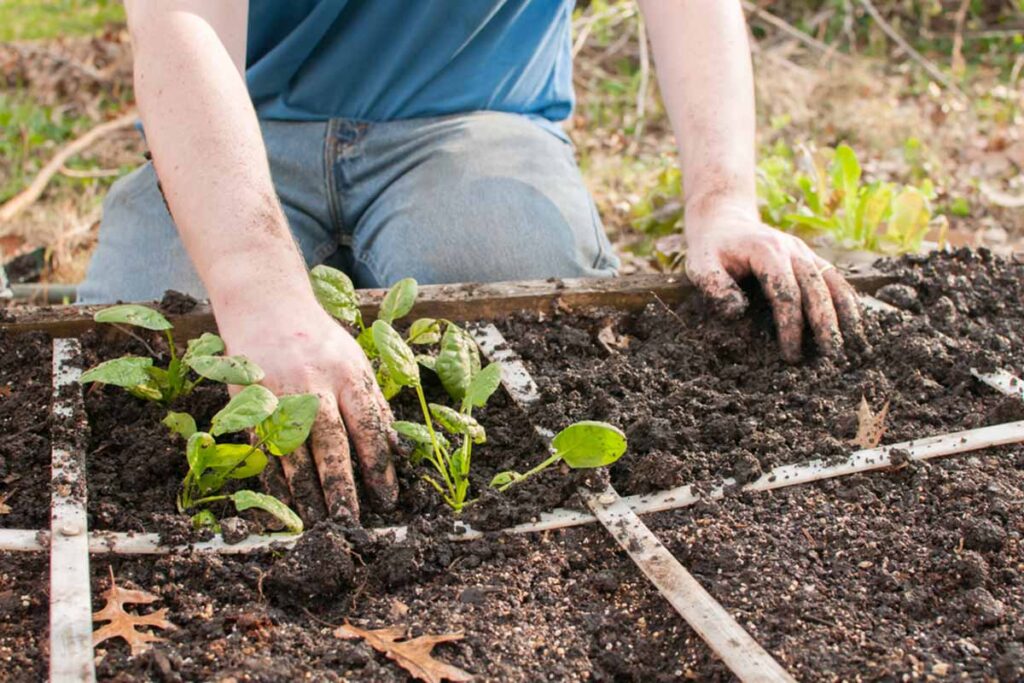 Some Weeding mistakes that make Gardening a real tough job