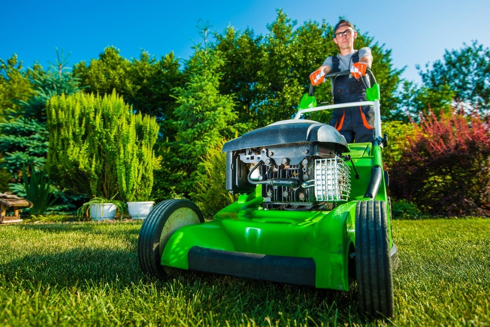 A guide on grass trimmers