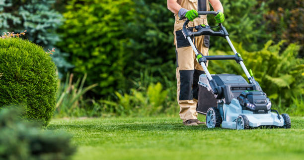 A guide on grass trimmers
