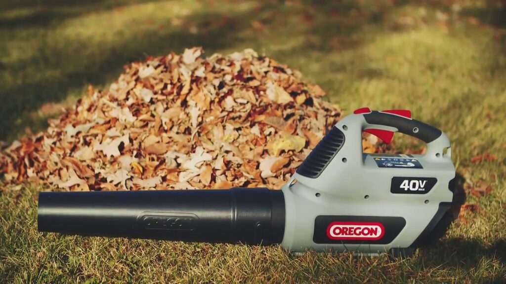 Leaf Blower over a Vacuum Blower