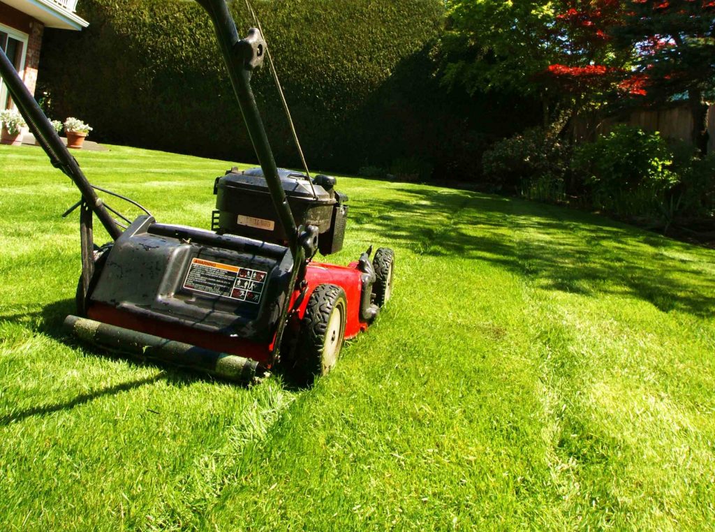 The right way to mow grass