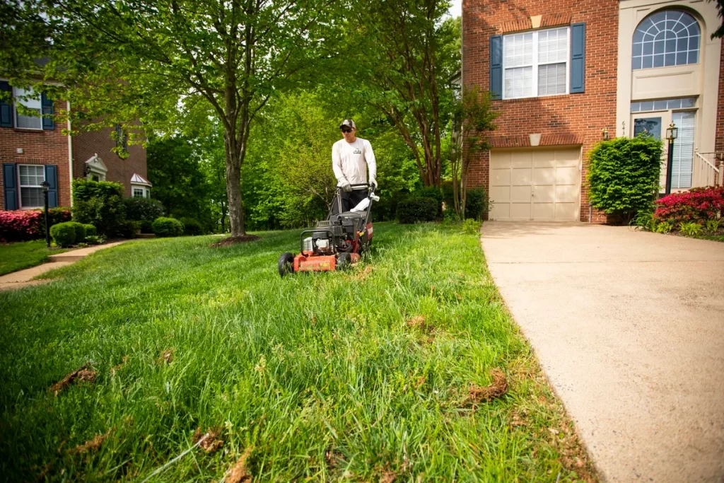 Lawn Mowing