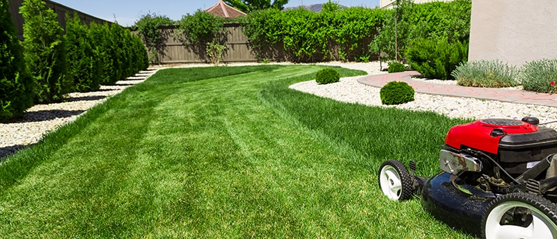 The right way to mow grass 
