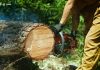 Omni Pro Chainsaw